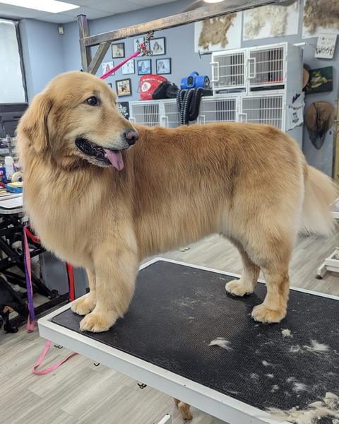 A boarder on the table, the boarding room behind